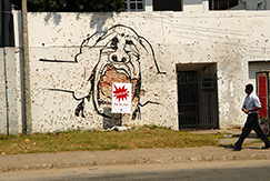 Gotabaya Wall